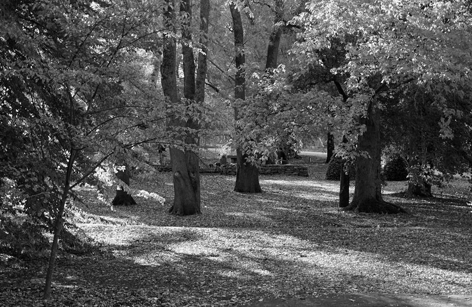 26694862_10155463388453740_117656168_n